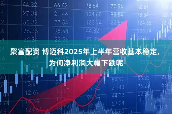 聚富配资 博迈科2025年上半年营收基本稳定, 为何净利润大幅下跌呢