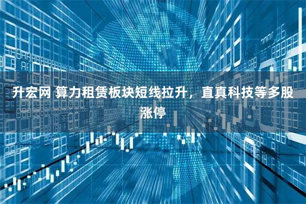 升宏网 算力租赁板块短线拉升，直真科技等多股涨停